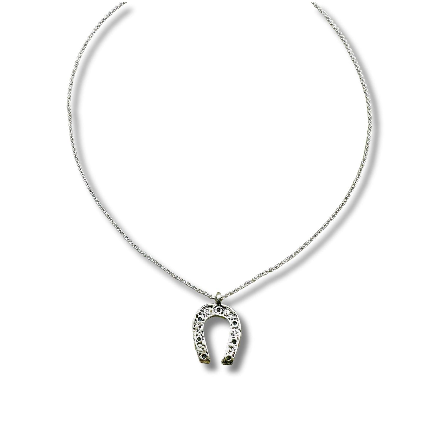 Large Horseshoe Good Luck Necklace