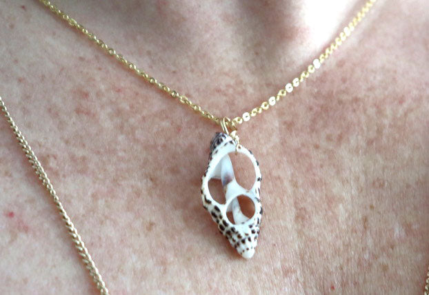 Beachy Genuine Shell Necklace