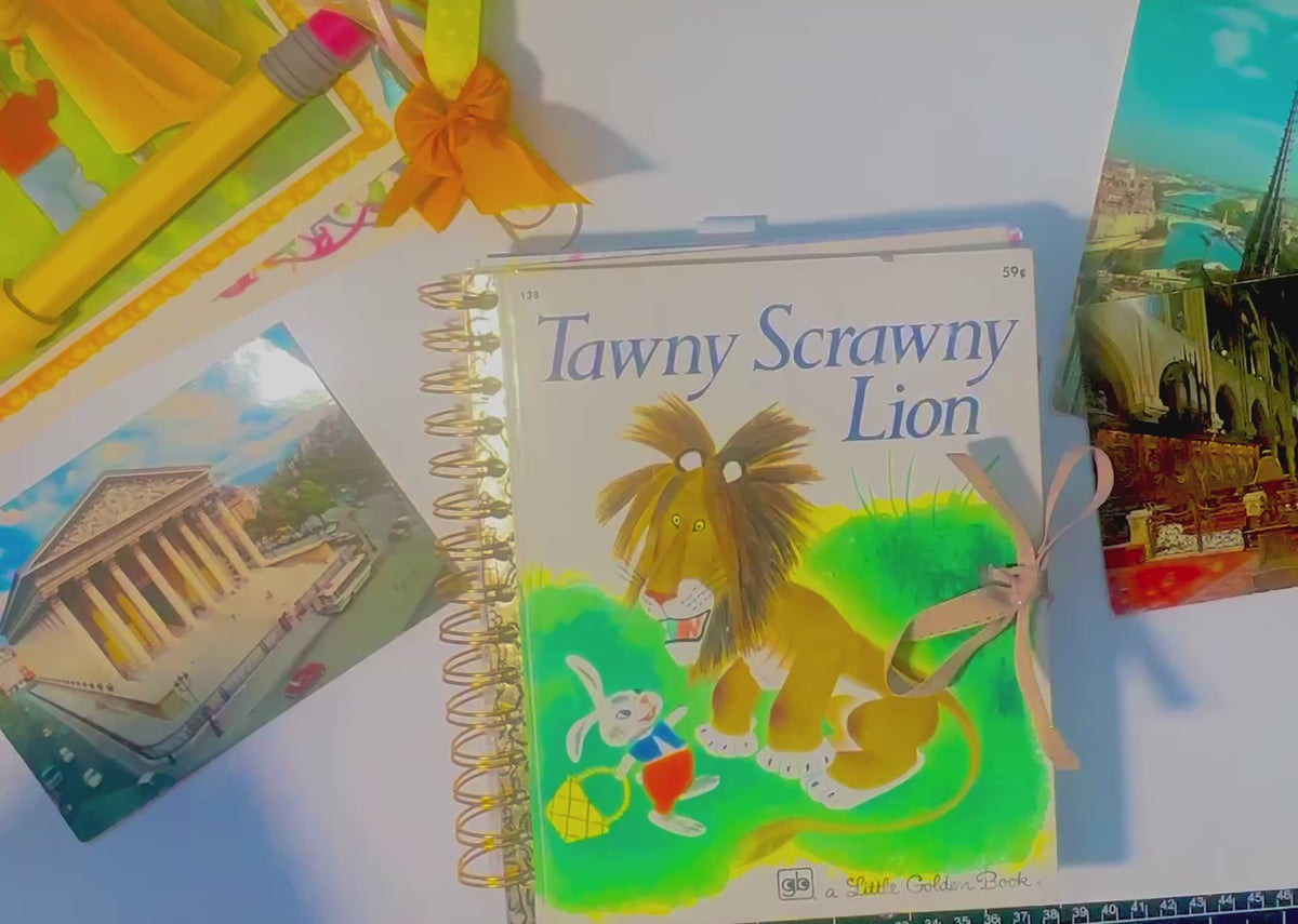 Tawny Scrawny_Lion_Journal video