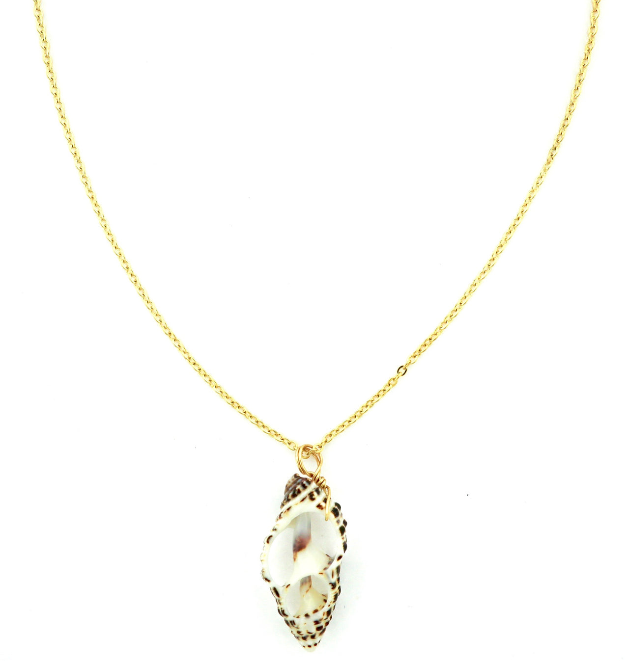 Beachy Genuine Shell Necklace