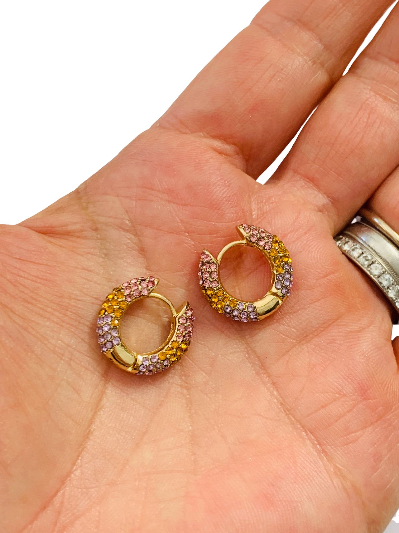 Pave Rainbow Pastel CZ Stone Hoop