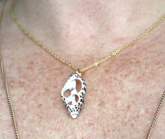 Beachy Genuine Shell Necklace